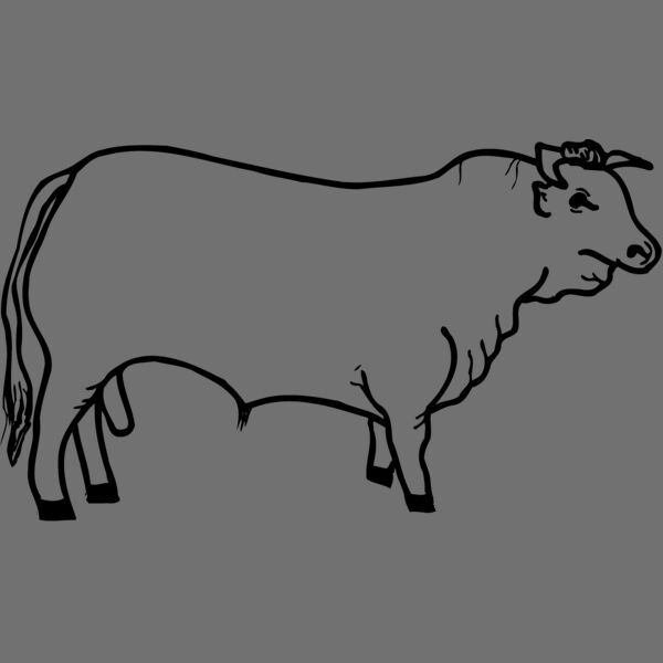 COW001 Thumbnail