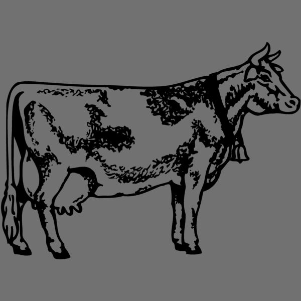 COW031 Thumbnail