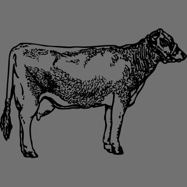 COW033 Thumbnail