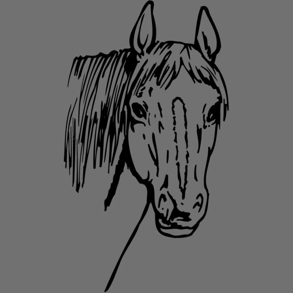 HORSE003 Thumbnail
