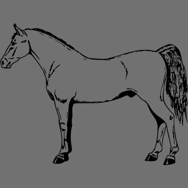 HORSE026 Thumbnail