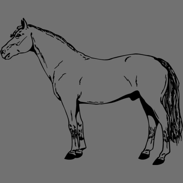 HORSE027 Thumbnail