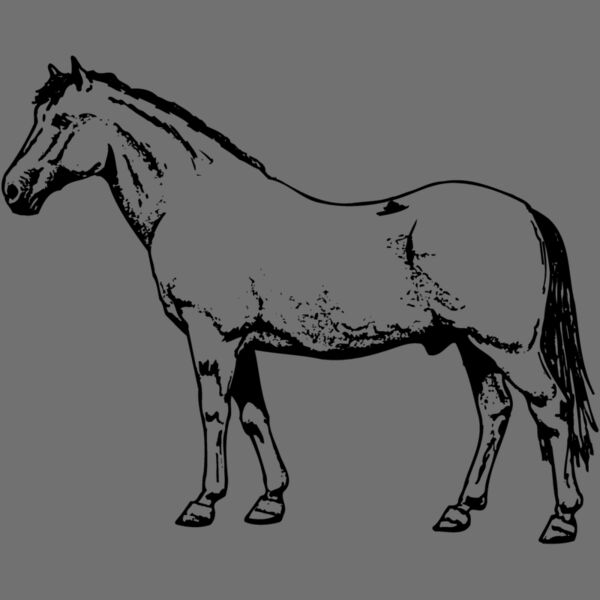 HORSE028 Thumbnail