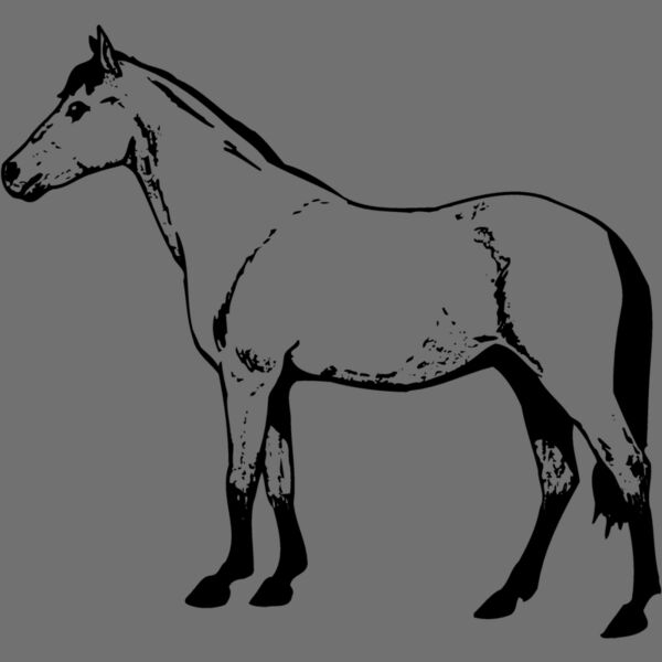 HORSE029 Thumbnail