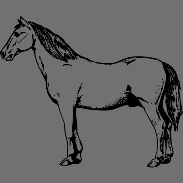 HORSE030 Thumbnail