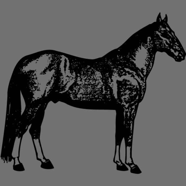 HORSE054 Thumbnail