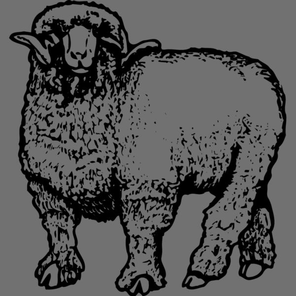 SHEEP001 Thumbnail