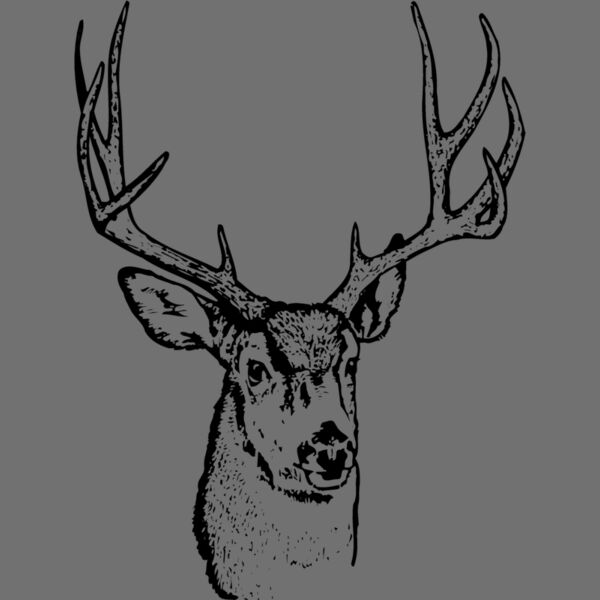 DEER016 Thumbnail