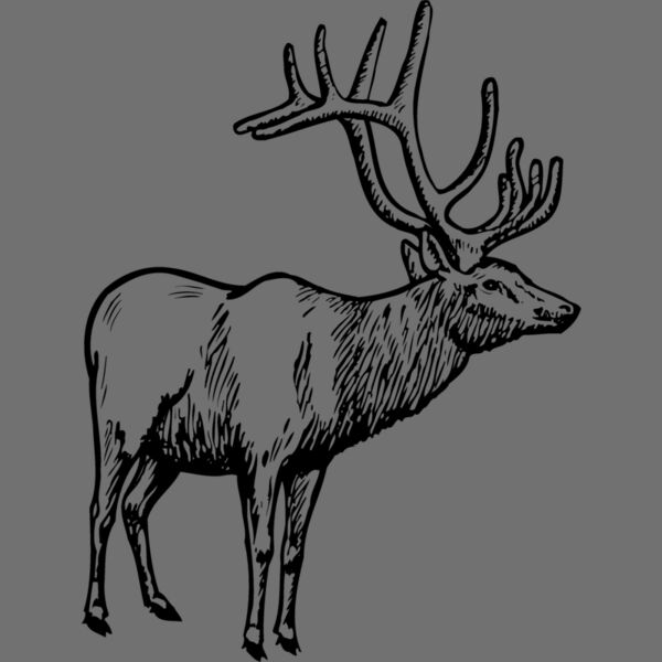 DEER028 Thumbnail
