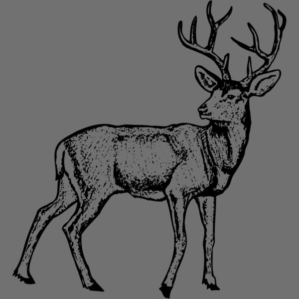 DEER029 Thumbnail