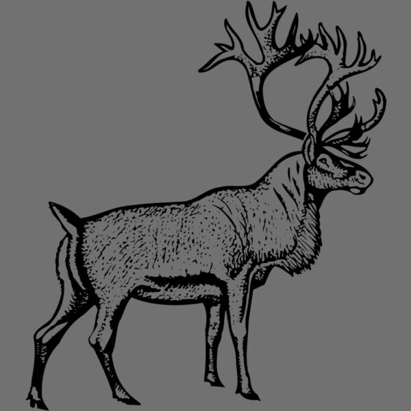DEER030 Thumbnail