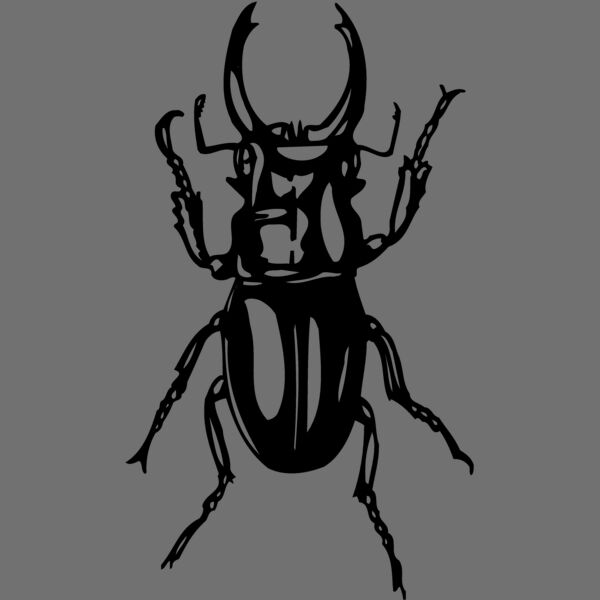 EARWIG Thumbnail