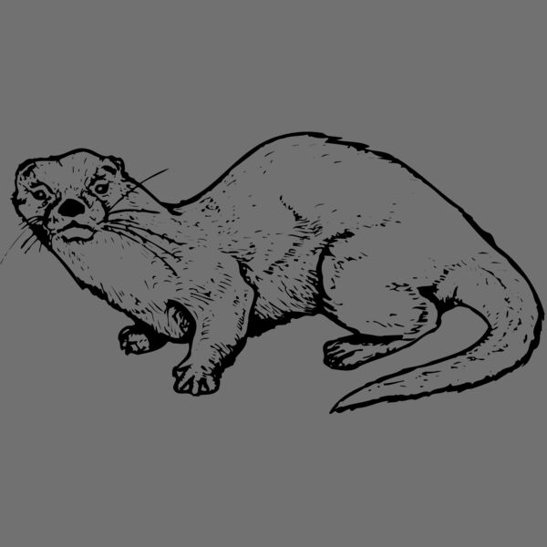 OTTER002 Thumbnail