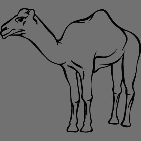 Camel   Clipart 2 Thumbnail