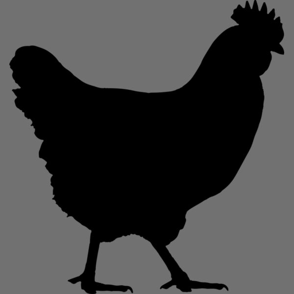 Chicken   Clipart 1 Thumbnail