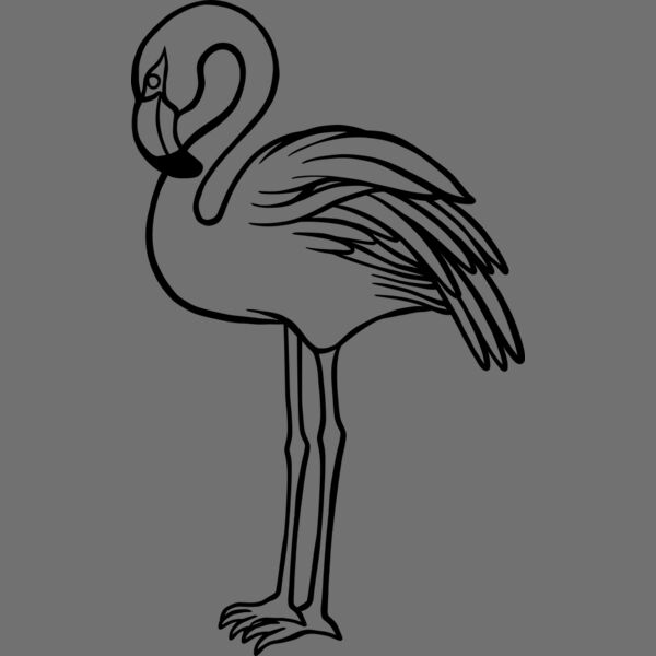 Flamingo   Clipart 1 Thumbnail