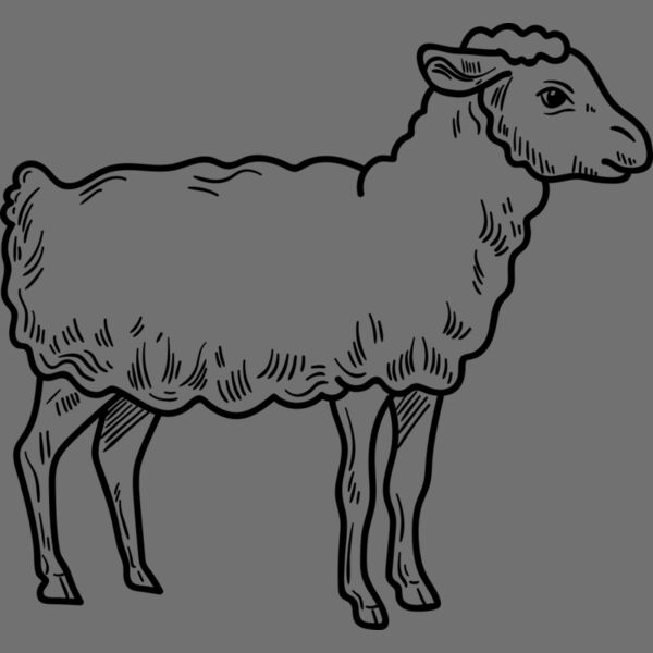 Lamb   Clipart 3 Thumbnail