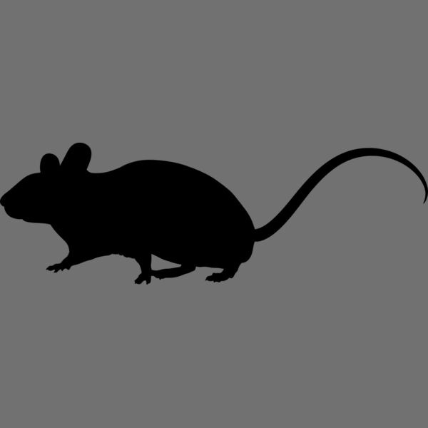 Mouse   Clipart 1 Thumbnail
