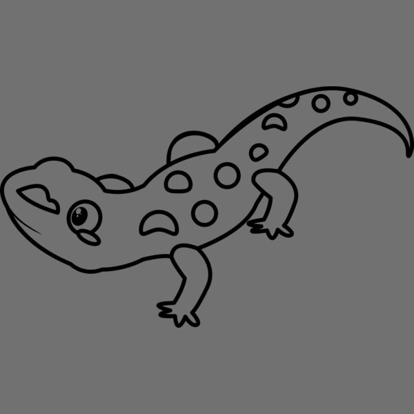Newt   Clipart 2 Thumbnail