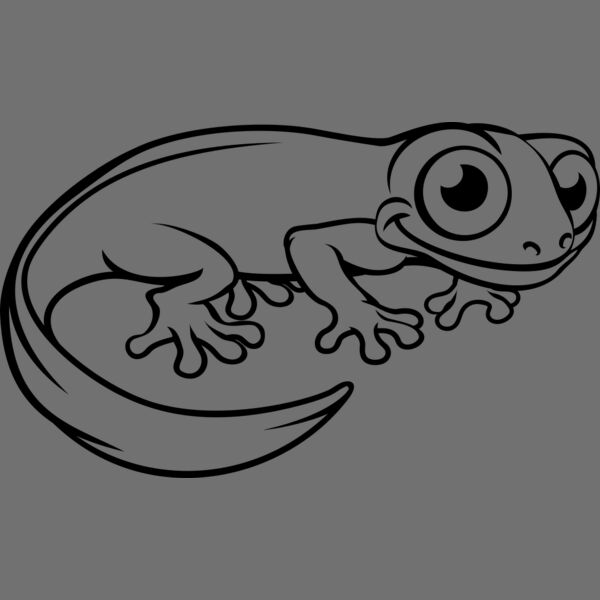 Newt   Clipart 3 Thumbnail