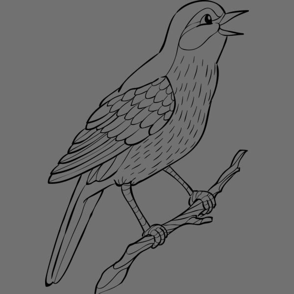 Nightingale   Clipart 2 Thumbnail