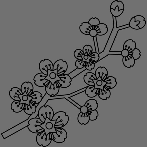 Cherry Blossom Branch Thumbnail