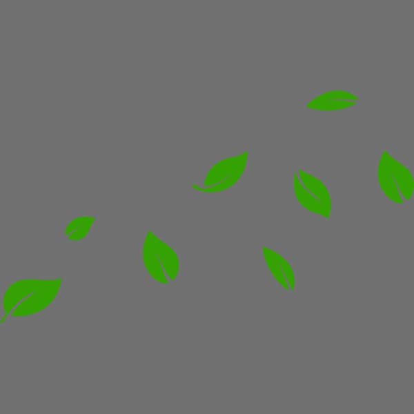 13 Leaves Thumbnail