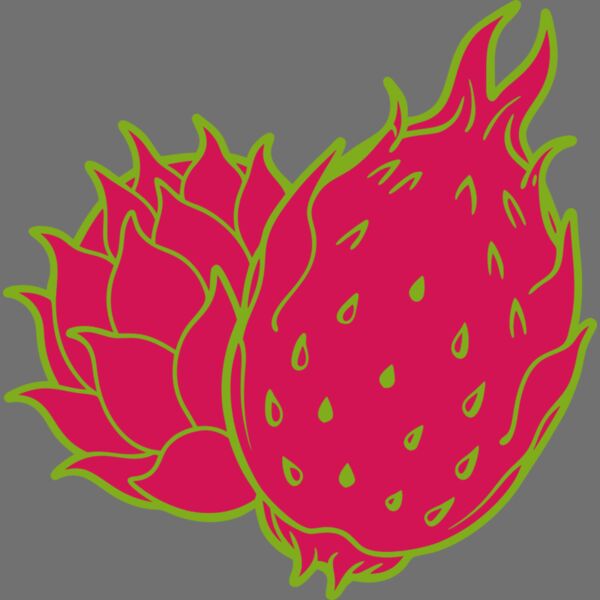 Dragon Fruit Thumbnail
