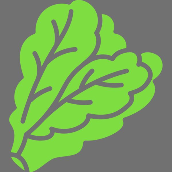 Lettuce Thumbnail