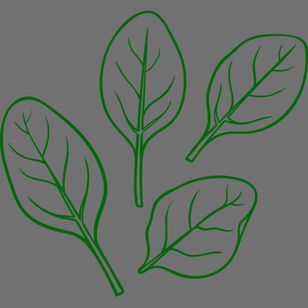 Spinach Thumbnail