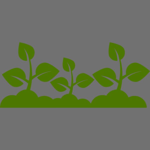 Plant Leaves Thumbnail