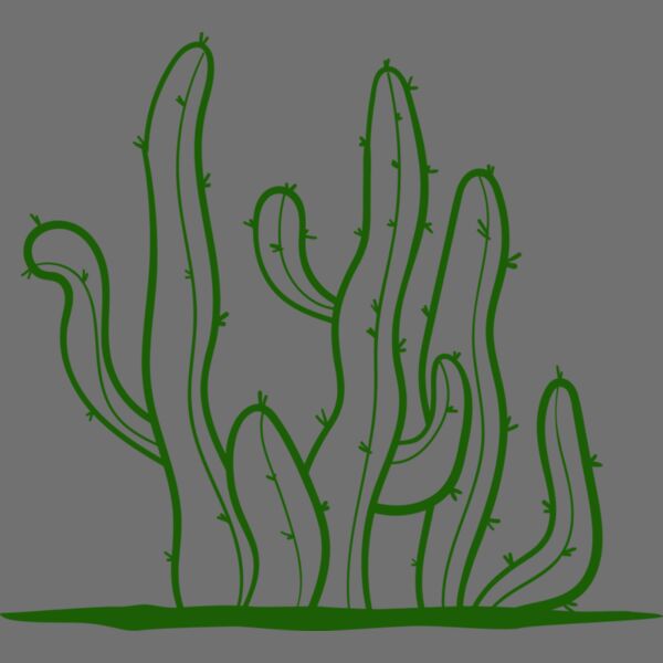 Cactus 2 Thumbnail