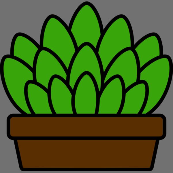 Succulent Plant Thumbnail