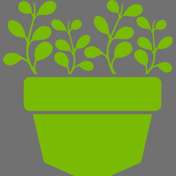 Succulent Plant 3 Thumbnail