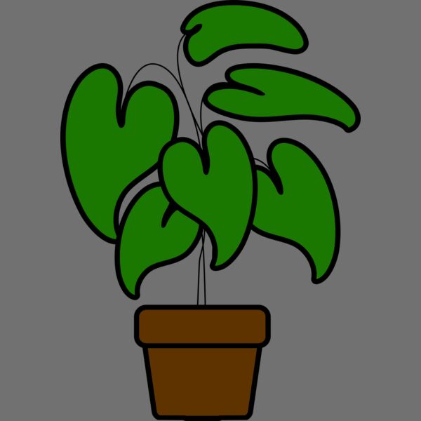 Plant Thumbnail