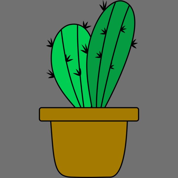 Cactus 4 Thumbnail