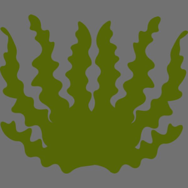 Sea Plant 2 Thumbnail