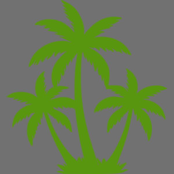 Coconut Tree Thumbnail