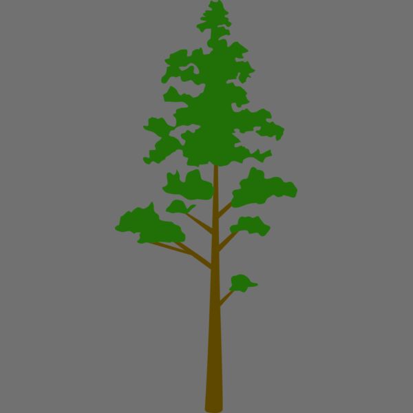 Tree Plant 8 Thumbnail