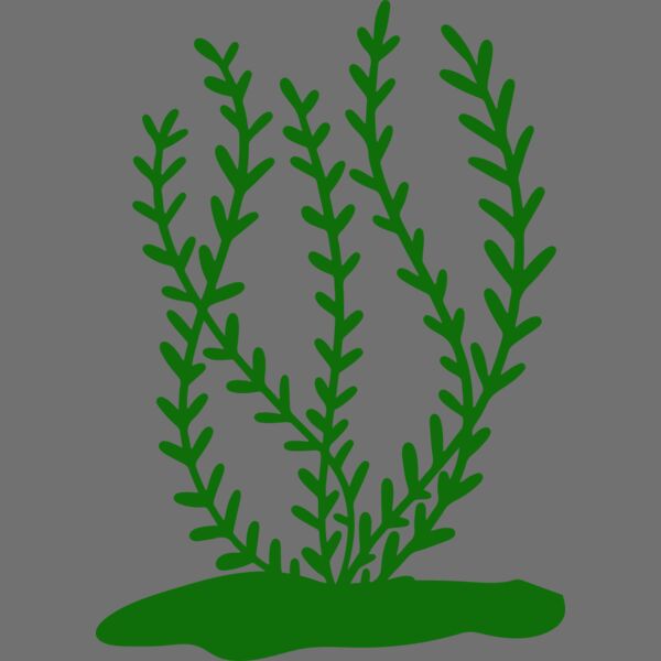 Sea Plants 3 Thumbnail