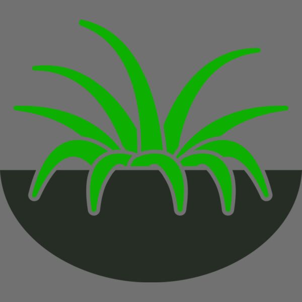 Plants 6 Thumbnail